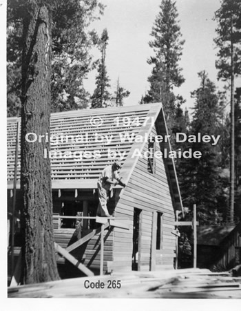 Building Pinecrest Cabin